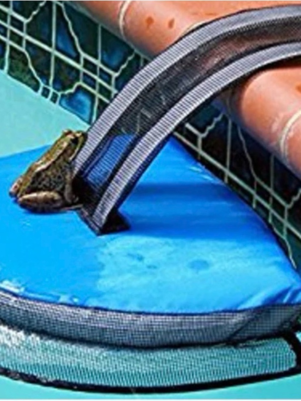 Pool Frog Log: Animal Critter Escape Ramp for Pools